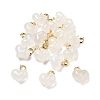 Natural Agate Heart Pendant Decorations LS-G-U025-01G-1
