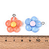 Transparent Resin Pendants RESI-N050-23P-3