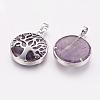 Natural Amethyst Pendants G-E388-09P-1