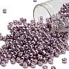 TOHO 6/0 Round Beads X-SEED-TR06-PF0554-1