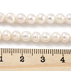 Natural Cultured Freshwater Pearl Beads Strands PEAR-C003-17A-5