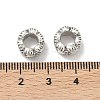 Alloy European Beads PALLOY-S079-076AS-4