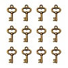 Gifts Ideas for Her Tibetan Style Alloy Charms MLF11975Y-NF-1