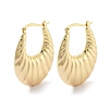 Brass Hoop Earrings EJEW-H301-01G-06-1