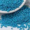 MIYUKI Round Rocailles Beads SEED-X0055-RR0413-1