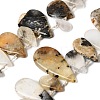 Natural African Opal Beads Strands G-D365-B01-2