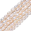 Natural Cultured Freshwater Pearl Beads Strands PEAR-N012-03D-2