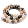 Natural Bamboo Leaf Agate Beads Strands G-G763-03-10mm-2