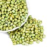 Picasso Glass Seed Beads SEED-N012-10I-1