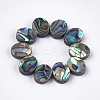 Abalone Shell/Paua Shell Beads X-SSHEL-T008-04-1