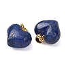 Dyed Natural Lapis Lazuli Pendants G-B188-04G-01-2