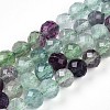 Natural Fluorite Beads Strands G-T140-19A-1