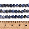 Natural South Africa Sodalite Beads Strands LS-G-S259-35-4mm-4