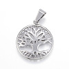 Non-Tarnish 304 Stainless Steel Pendants X-STAS-G126-16P-1