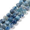 Natural Blue Cherry Blossom Agate Beads Strands G-NH0010-J02-01B-1