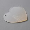 Gradient Transparent Acrylic Disc Big Pendants FIND-WH0032-54D-2
