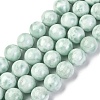 Natural Glass Beads Strands G-I247-31H-4