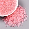 8/0 Transparent Glass Seed Beads SEED-F003-03B-15-3