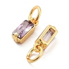 Brass Micro Pave Cubic Zirconia Charms ZIRC-F111-03G-12-2