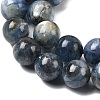 Natural Kyanite Beads Strands LS-G-NH0046-C04-8MM-01-4