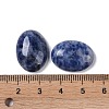 Natural Blue Spot Jasper Cabochons G-B080-01A-02-3