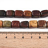 Natural Polychrome Jasper/Picasso Stone/Picasso Jasper Beads Strands G-T140-60B-5