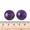 Natural Amethyst & Amazonite & African Turquoise(Jasper) & Lapis Lazuli & Apatite Cabochons G-A265-01-4