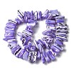 Dyed Natural Trochus Shell Beads Strands SSHEL-C013-09-2
