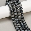 Natural Hawk's Eye Beads Strands G-S333-10mm-027-5