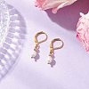 Natural Baroque Pearl Oval Leverback Earrings EJEW-JE06437-1