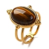 Oval Natural Tiger Eye Finger Rings RJEW-Q822-09G-1
