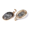 Natural Labradorite Pendants G-Q606-92G-01-2