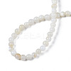 Natural Freshwater Shell Beads Strands X-BSHE-T009A-01A-2