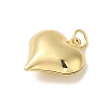 Rack Plating Brass Pendant KK-S366-13G-02-2