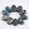 Abalone Shell/Paua Shell Beads LS-SSHEL-T008-07-1