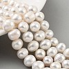 Natural Cultured Freshwater Pearl Beads Strands PEAR-C003-19C-1