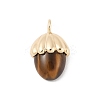 Natural Tiger Eye Pendants KK-Z107-02G-02-1