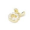 Alloy Enamel Pendants PALLOY-R151-38G-2
