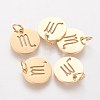 Ion Plating(IP) 304 Stainless Steel Pendants A-STAS-Q201-T445-8G-1