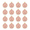 Golden Plated Alloy Enamel Charms ENAM-S118-07H-2