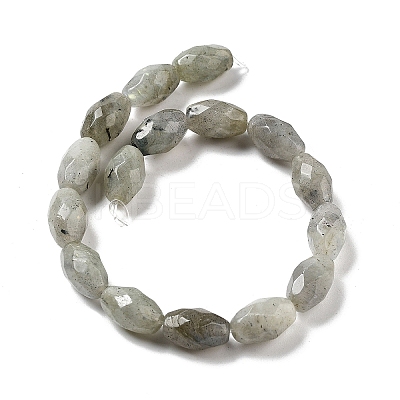 Natural Labradorite Beads Strands G-P520-C08-01-1