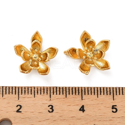 Brass Bead Caps KK-H496-08G-1
