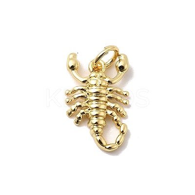 Brass Charms KK-I364-05G-04-1