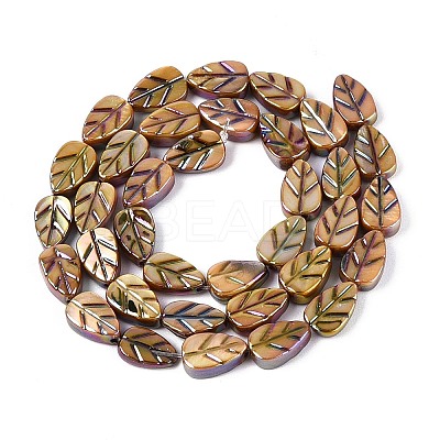 Natural Freshwater Shell Carved Beads Strands SHEL-N038-25D-1