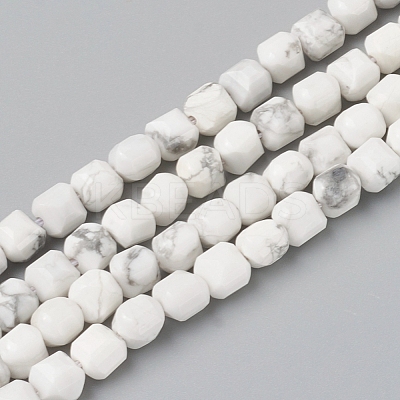 Natural Howlite Beads Strands G-I270-09-1