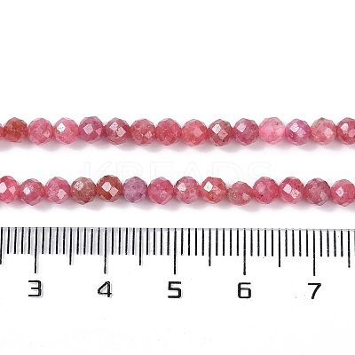 Natural Rhodonite Beads Strands X-G-G139-A16-03-1