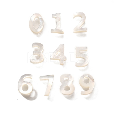 10Pcs 10 Styles Natural Freshwater Shell Beads BSHE-Z008-11-1