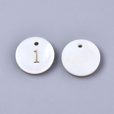 Natural Freshwater Shell Charms SHEL-Q023-01-1