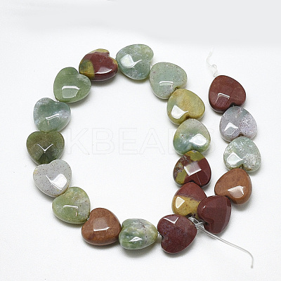 Natural Indian Agate Beads Strands G-S357-E01-03-1