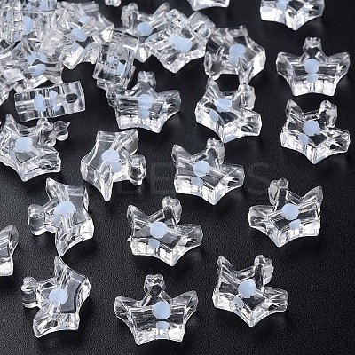 Transparent Acrylic Beads LS-MACR-S373-105-B08-1